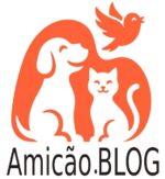 amicao.blog